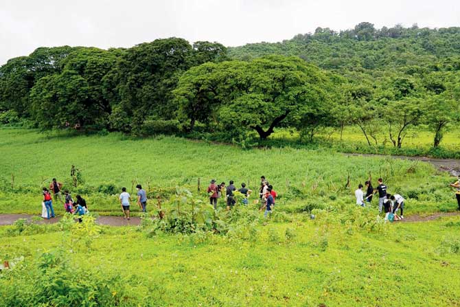 A previous plantation drive by The Tree Box initiative