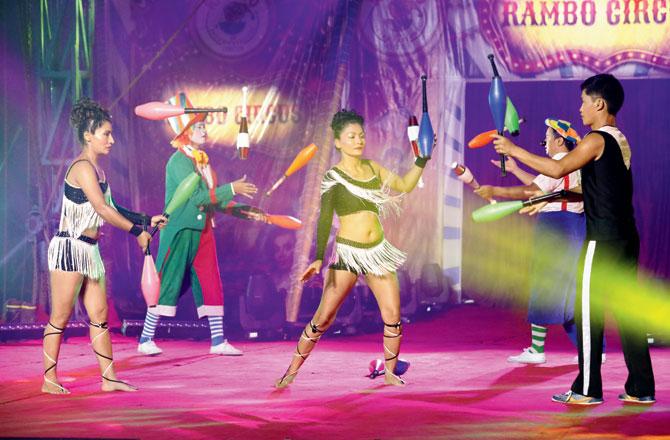 Artistes at the circus showcase their skills