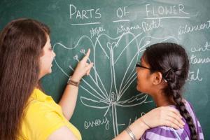Video course in spoken English for Uttar Pradesh teachers