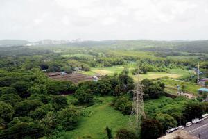 Mumbai: Aarey is a forest, admits government; greens welcome move