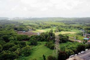 Mumbai: Green group to plant 600 trees in Aarey