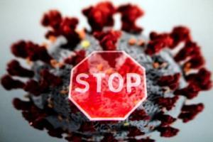 Antibodies against oronavirus stay in body for at least 60 days: Study