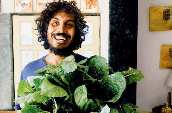 Green reels from Panchgani