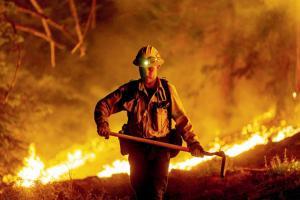 California's largest-ever wildfire grows to 7,50,000 acres