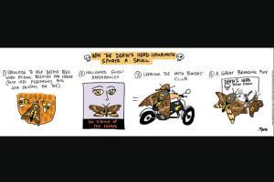 Green Humour: Comic Strip By Rohan Chakravarty