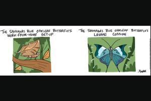 Green Humour: Comic Strip By Rohan Chakravarty
