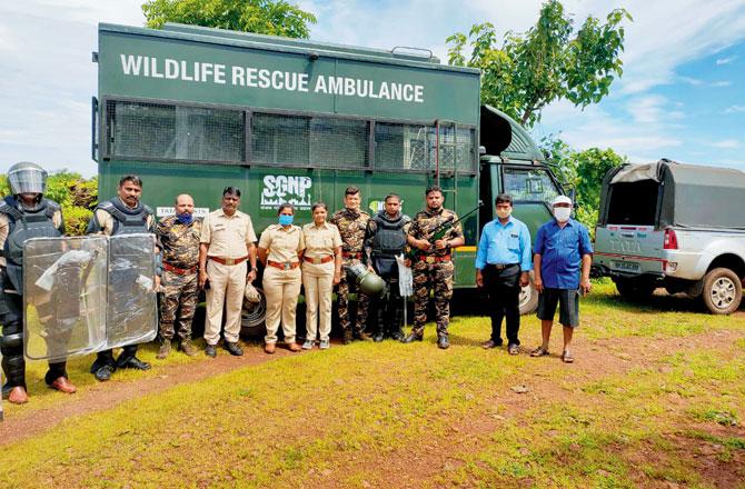 A leopard rescue team from SGNP is helping Ratnagiri Forest Department officials trap the leopard