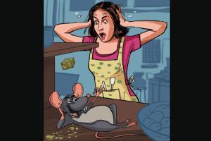 Negotiating with rats