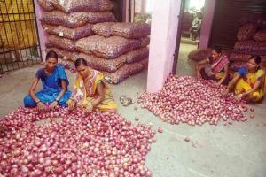 Centre bans onion export to control domestic prices