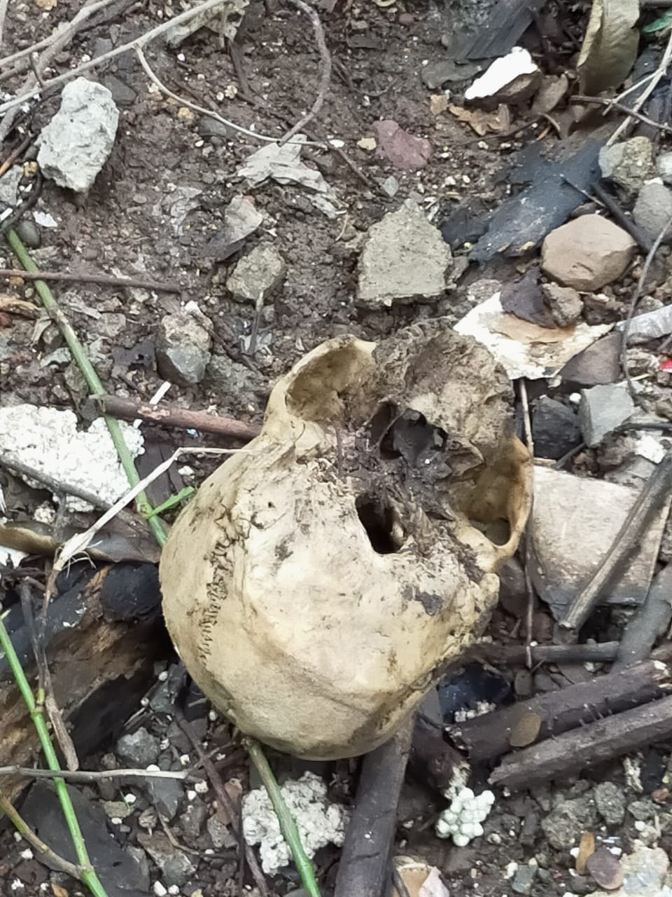 Skeleton found