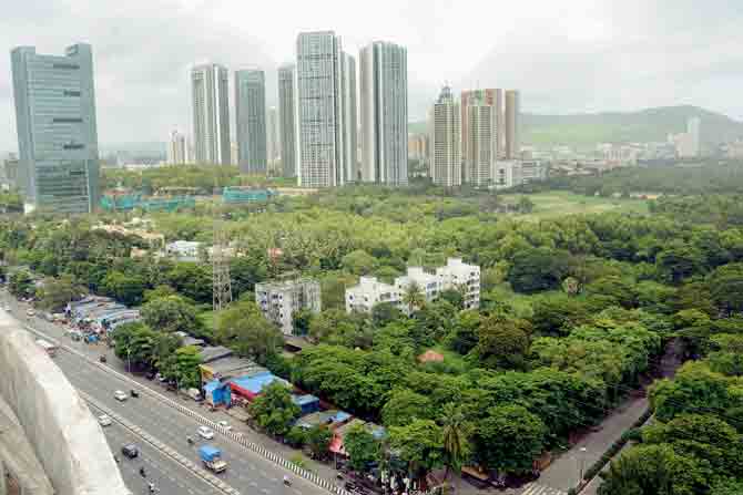 Aarey colony and the green cover can be seen from the Western Express Highway. PIC/SATEJ SHINDE