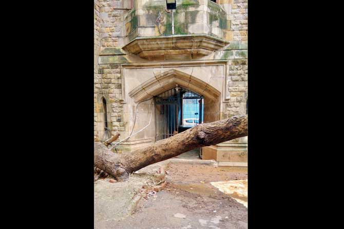 an uprooted tree had blocked one of the doors to the building