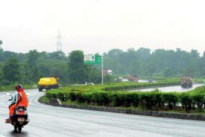 New Expressway to Vadodara to affect over 80,000 trees
