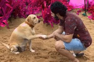 Varun Dhawan spends Sunday morning with furry friend