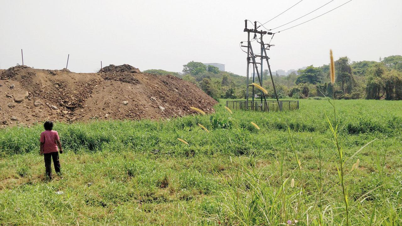 Landfilling near Mithi River at Aarey poses huge flood risk: Environmental activists