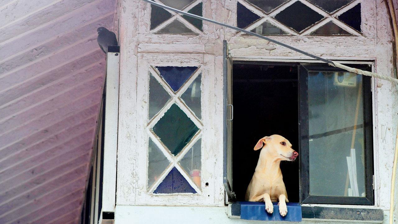 Mumbai Diary: Monday Dossier
