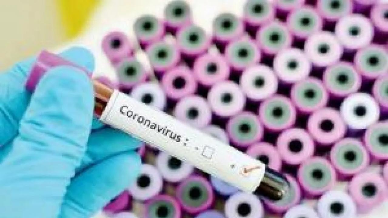 CEC Sushil Chandra, EC Rajiv Kumar test corona-positive, discharge duties virtually