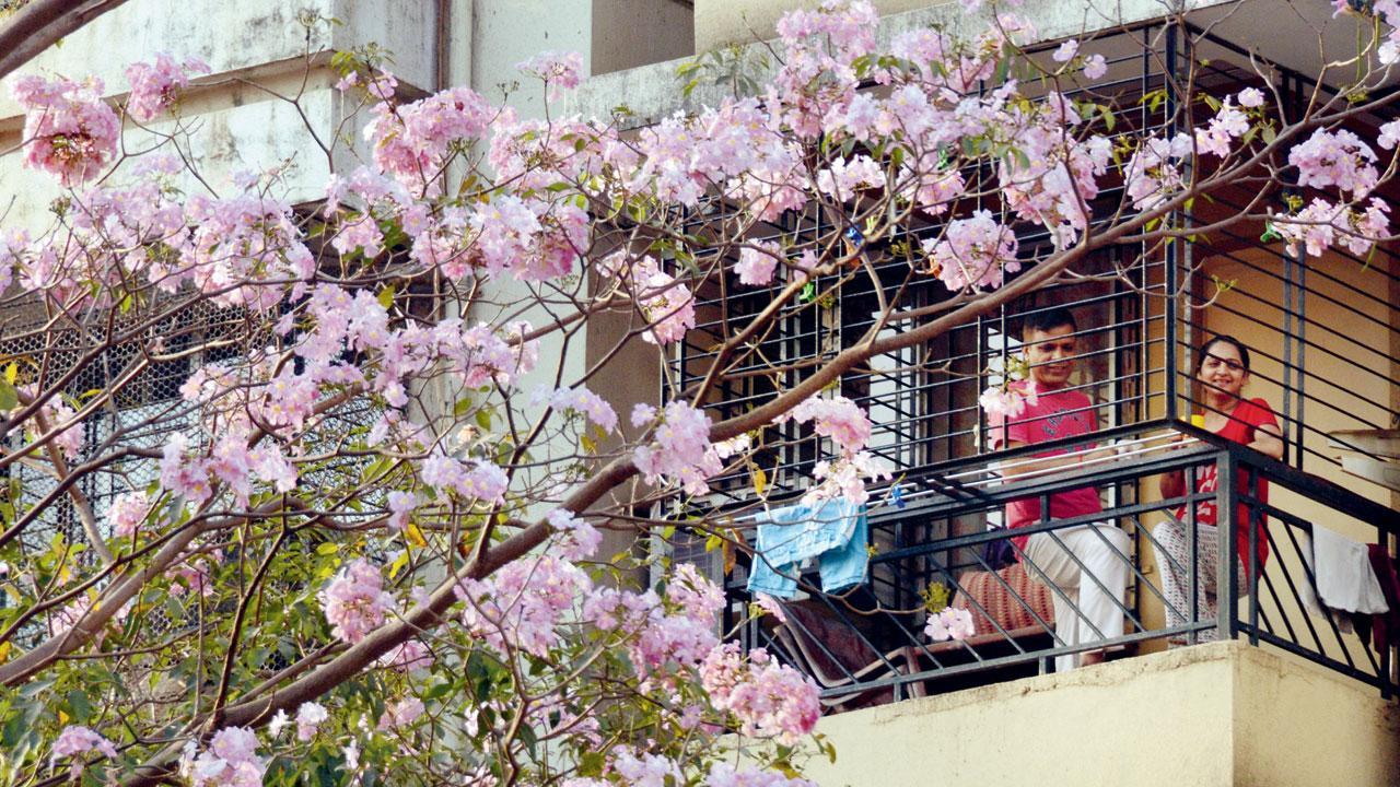 Mumbai Diary: Tuesday Dossier