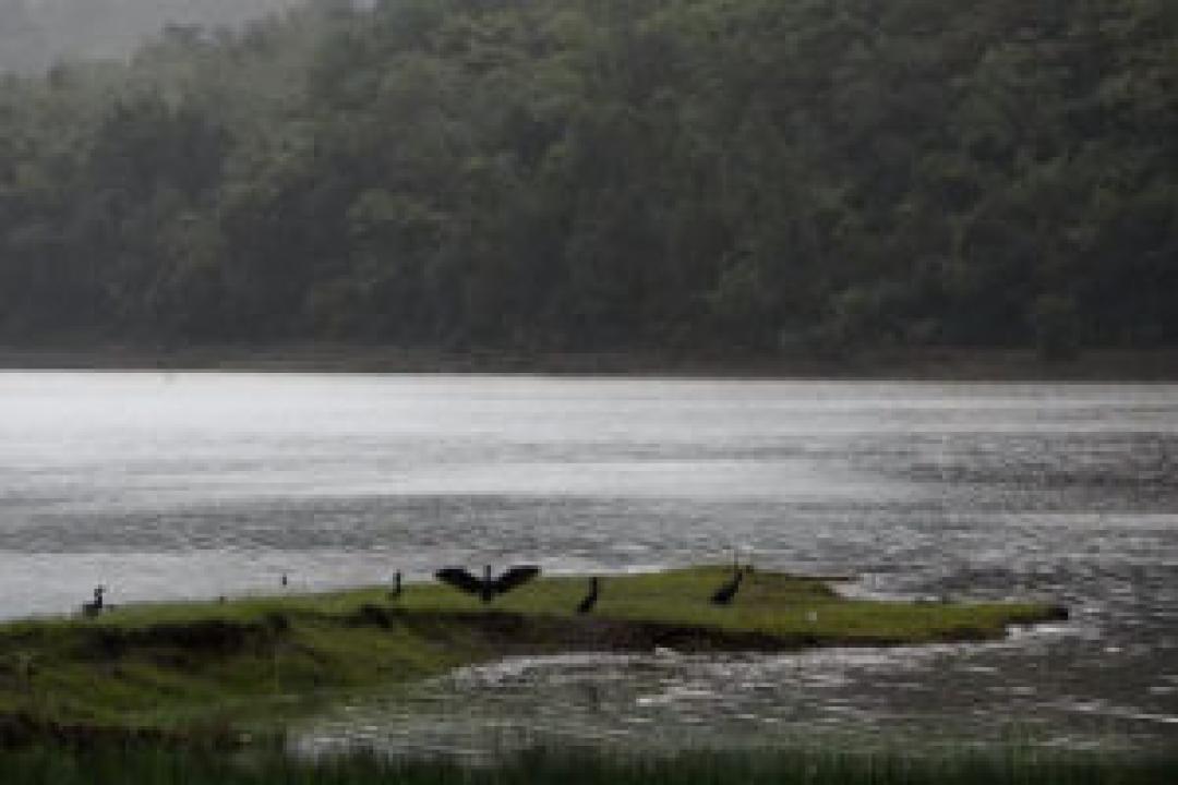 Maharashtra: Area in Sindhudurg named as biodiversity heritage site