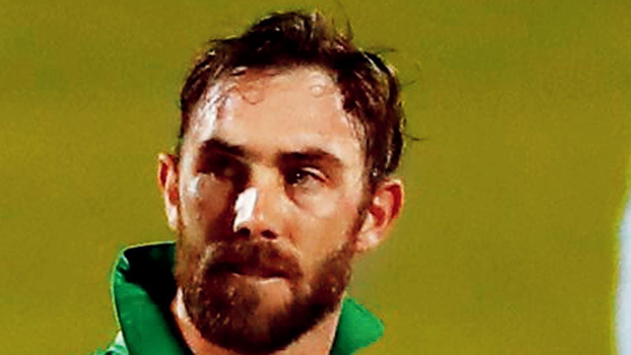 IPL 2021: RCB's Glenn Maxwell looking to learn from AB de Villiers, Virat Kohli