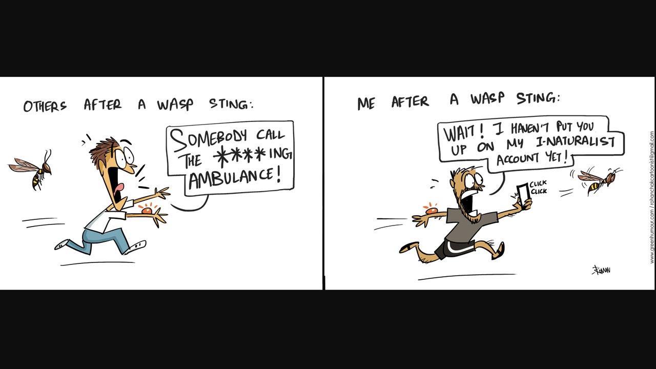 Green Humour: Comic Strip By Rohan Chakravarty