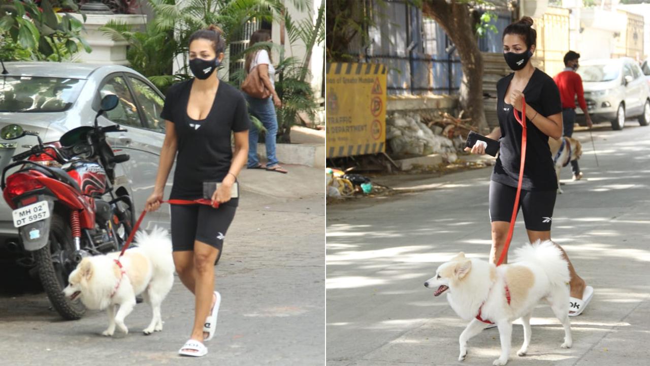 Malaika Arora was later snapped with her pet dog, Casper, as the actress took him for a walk on the streets of Pali Hill, Bandra. Malaika looked ravishing in an all-black athleisure.