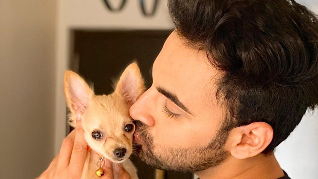 National Pet Day: Apna Time Bhi Aayega actor Pulkit Bangia says, 'I prefer dogs over people'