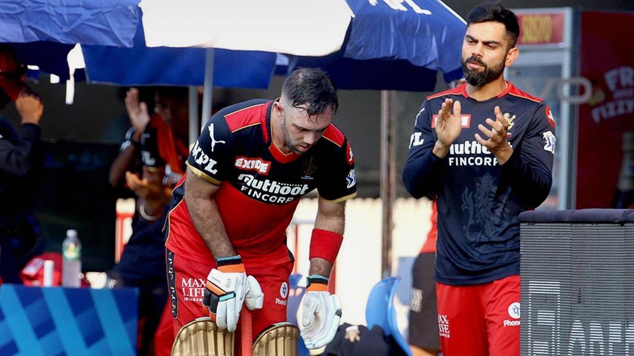 IPL 2021: Glenn Maxwell has taken to RCB like a duck to water - Virat Kohli
