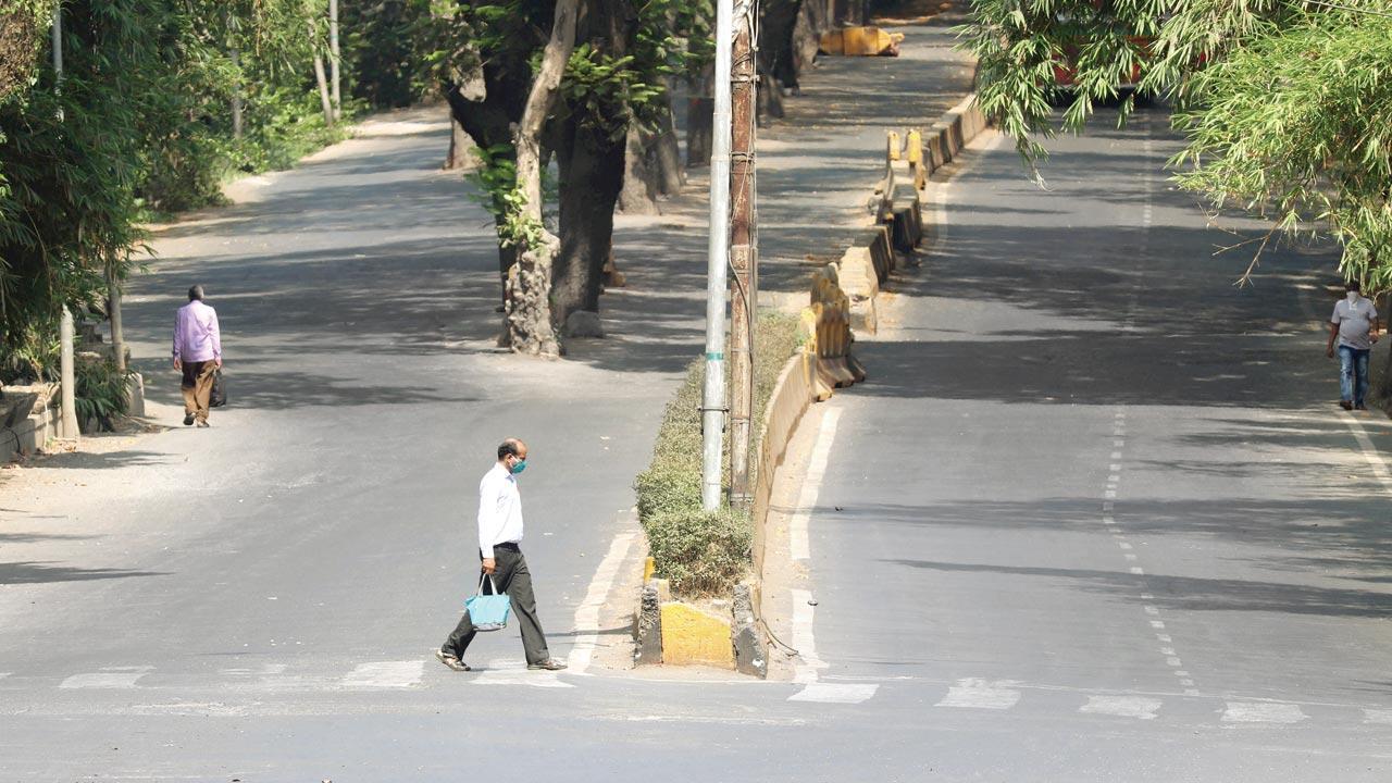 Mumbai: BMC plans concrete road in Aarey Colony, activists say think of wildlife, too