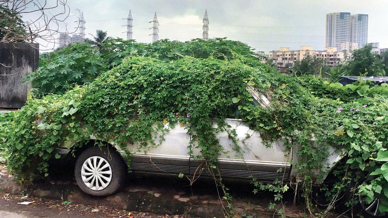 Mumbai Diary: Saturday Dossier