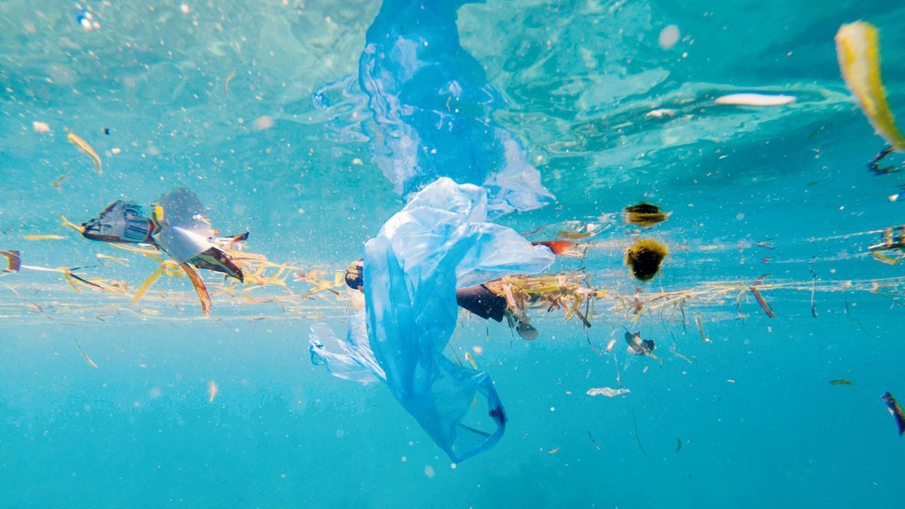 Draft notification on banning plastic of less than 100-micron thickness issued: Centre to Supreme Court