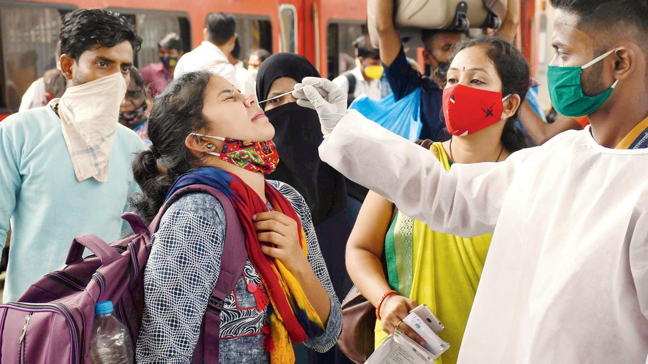 Mumbai: Posh B ward sees two cases in a week; D ward records highest growth