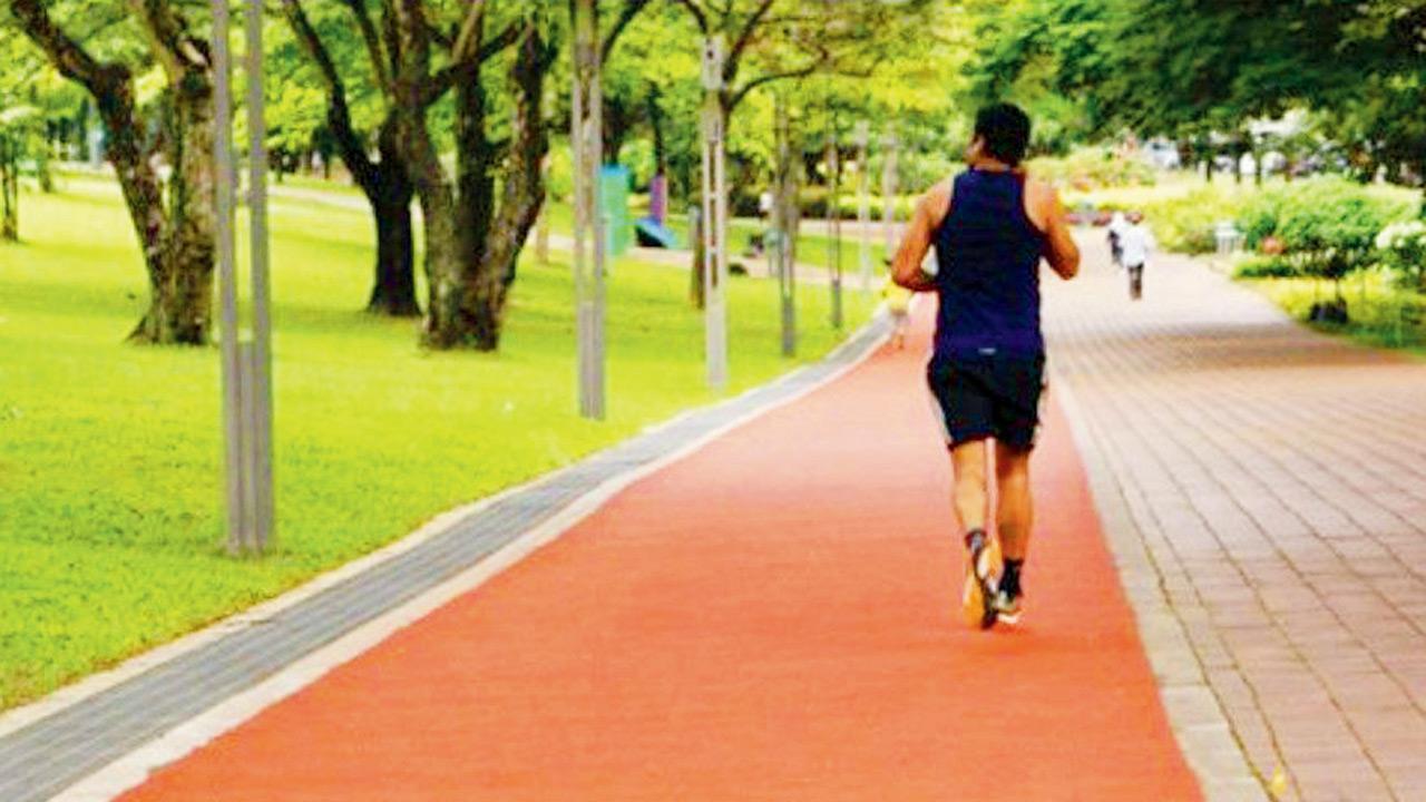 Mumbai: Dharavi set to get its biggest park below BKC flyover