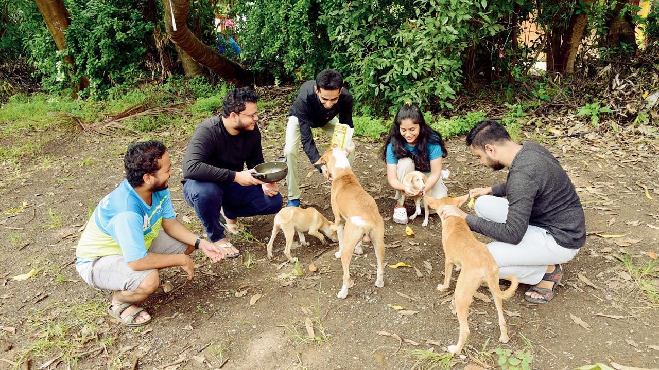 Mumbai: Meet the stray-rescuers of Vikhroli