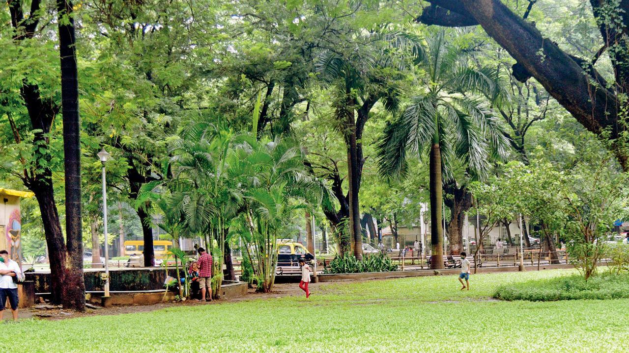 Mumbai Unlock: Parks, beaches open, but no call on zoo yet