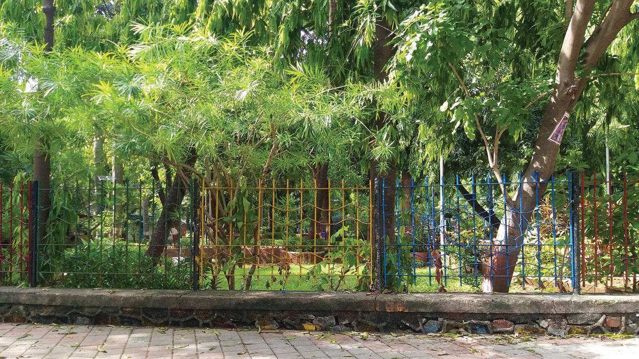 Gardens are the new footpaths for BMC, corporators: Mumbai activists