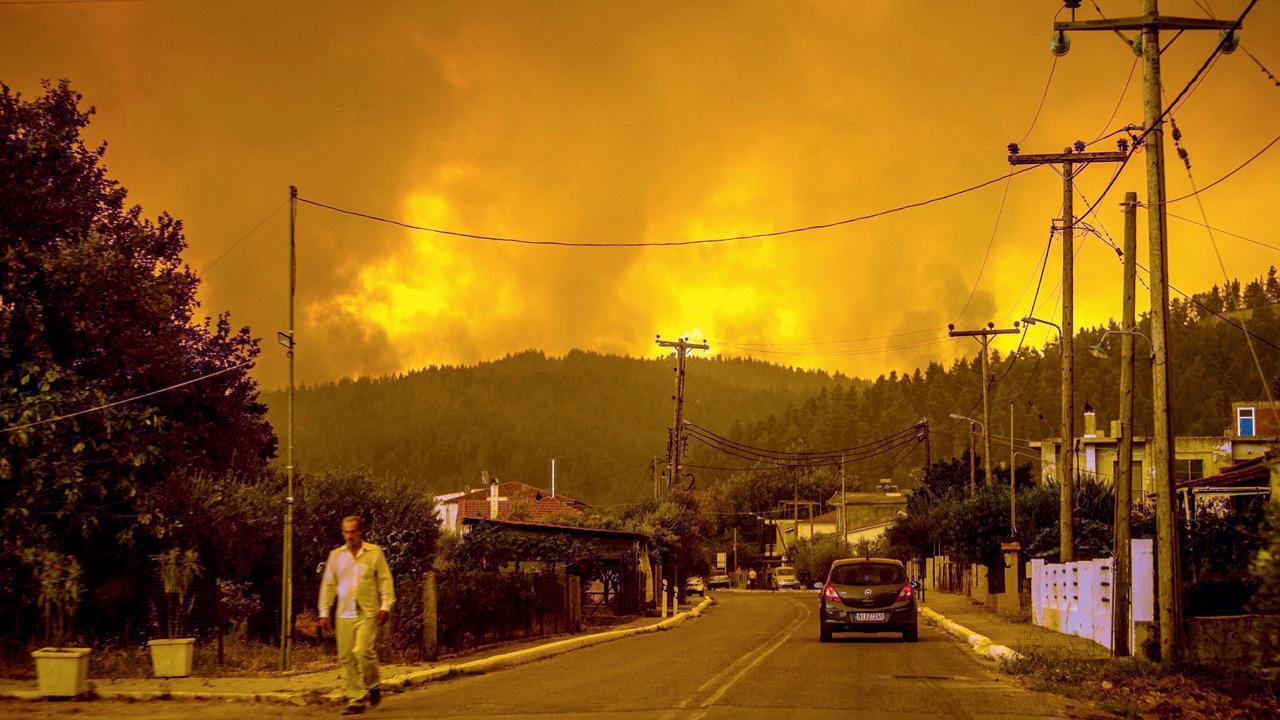 Wildfires rampage in Greek forests, cut large island in half