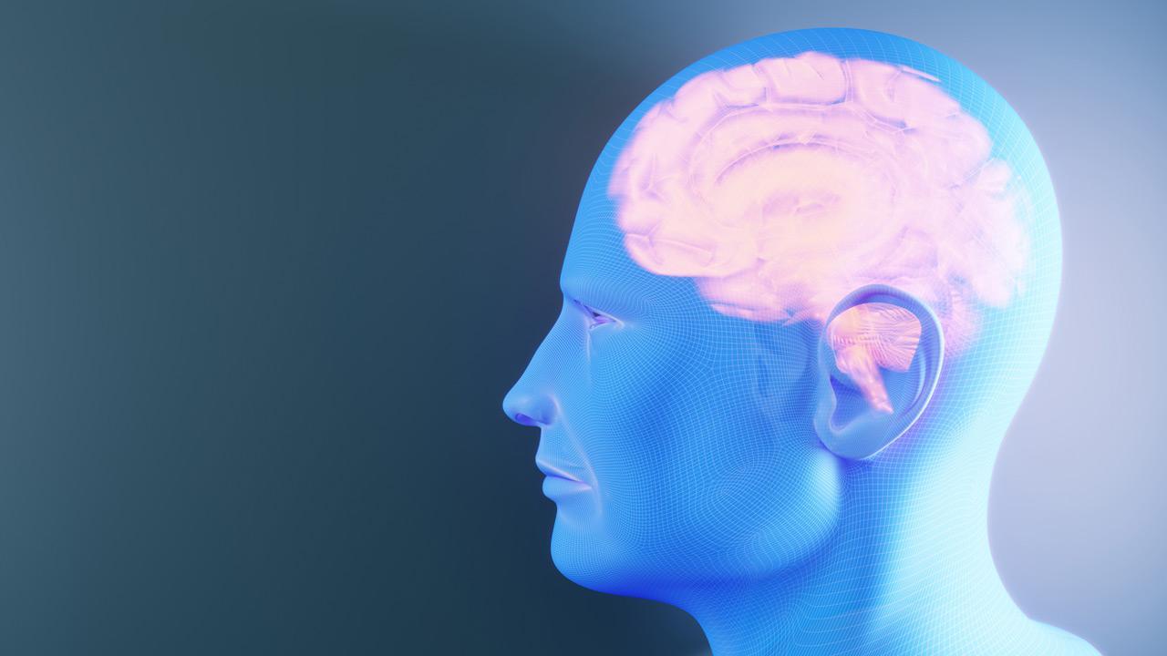 Indian scientist develops human model to study brain disorders