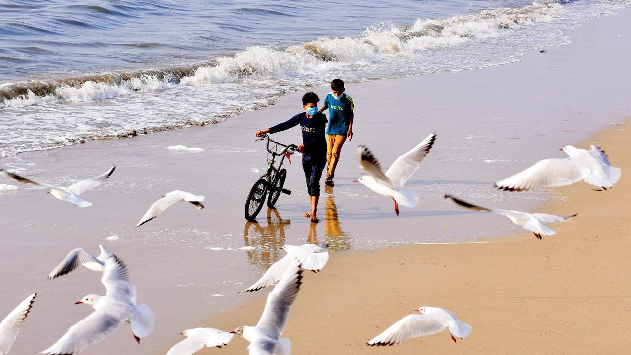 Mumbai Diary: Monday Dossier