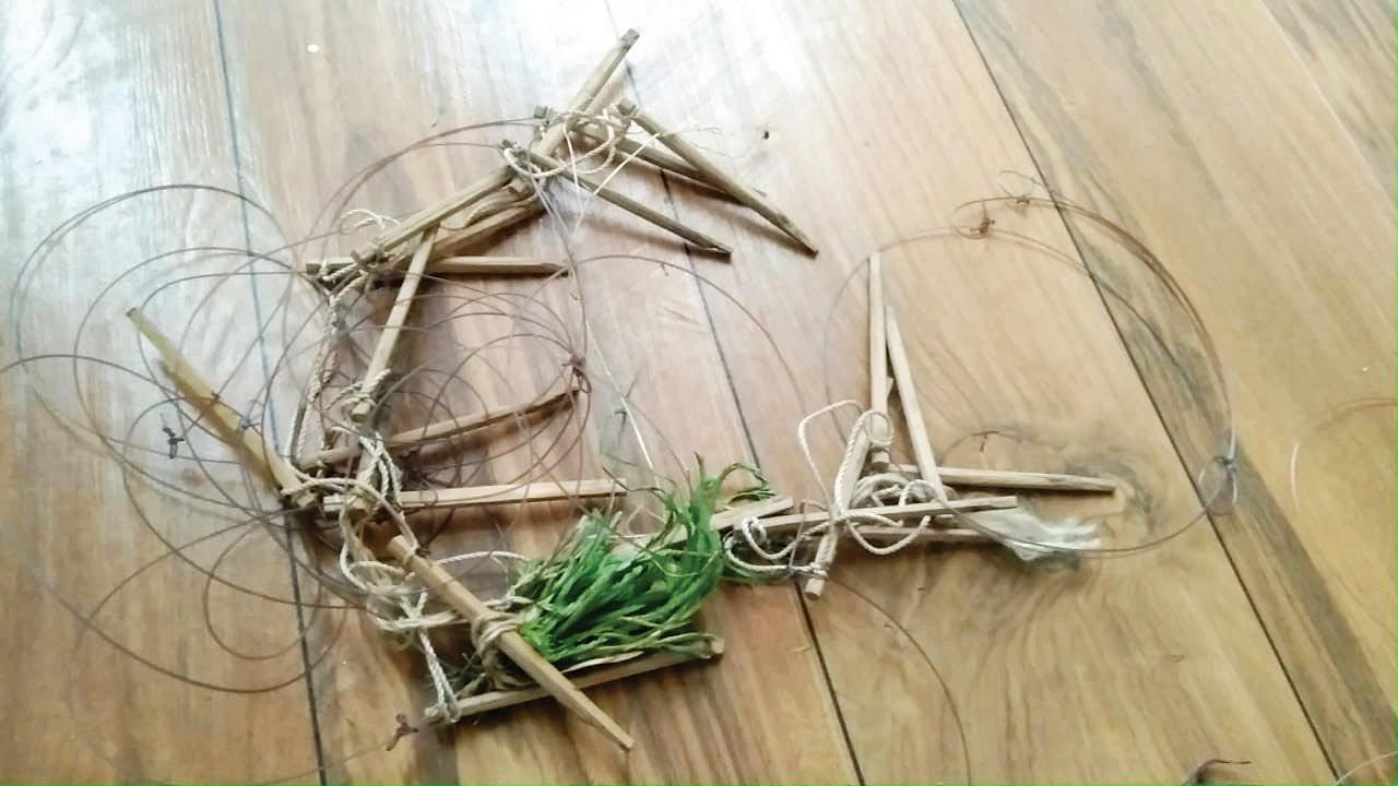 Traps for migratory birds found in Vasai, Virar