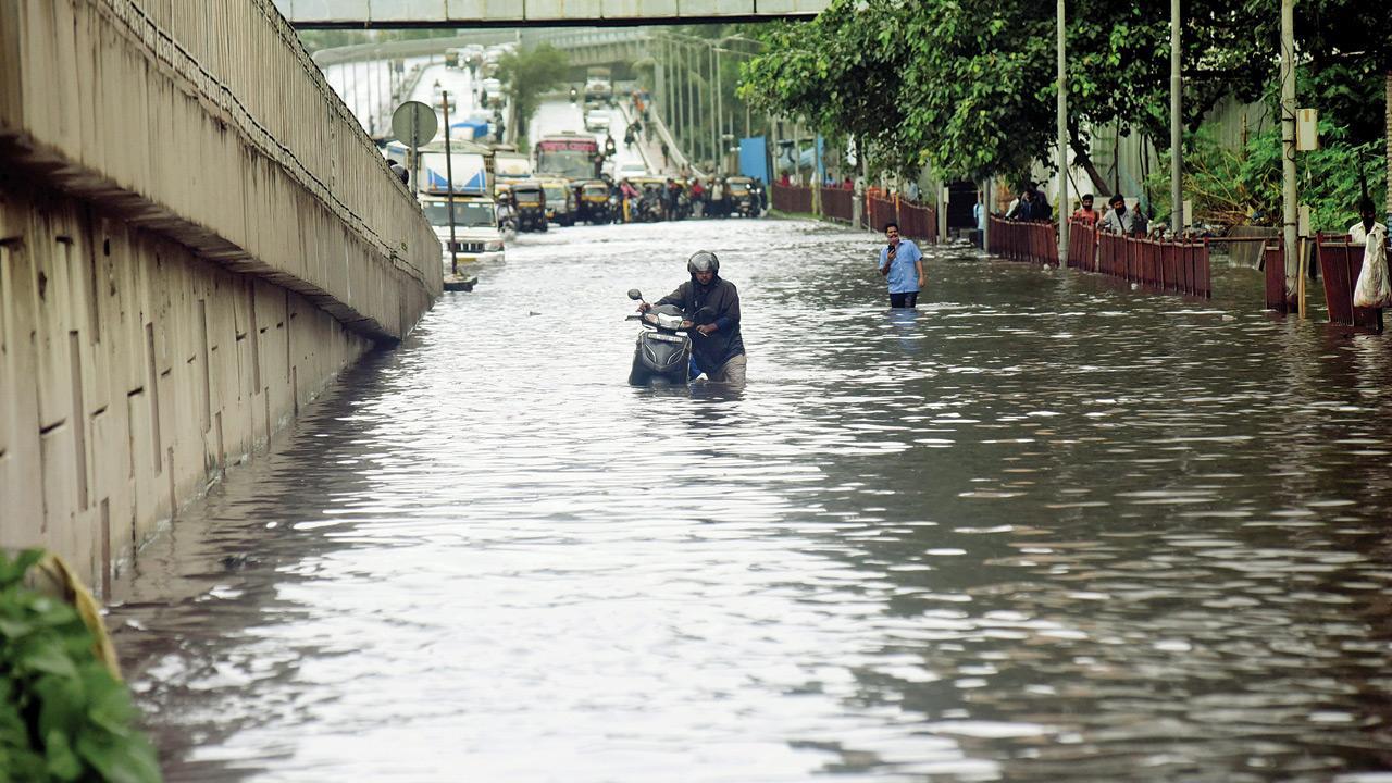 Mumbai: Excess rainfall is the new normal, thanks to climate change