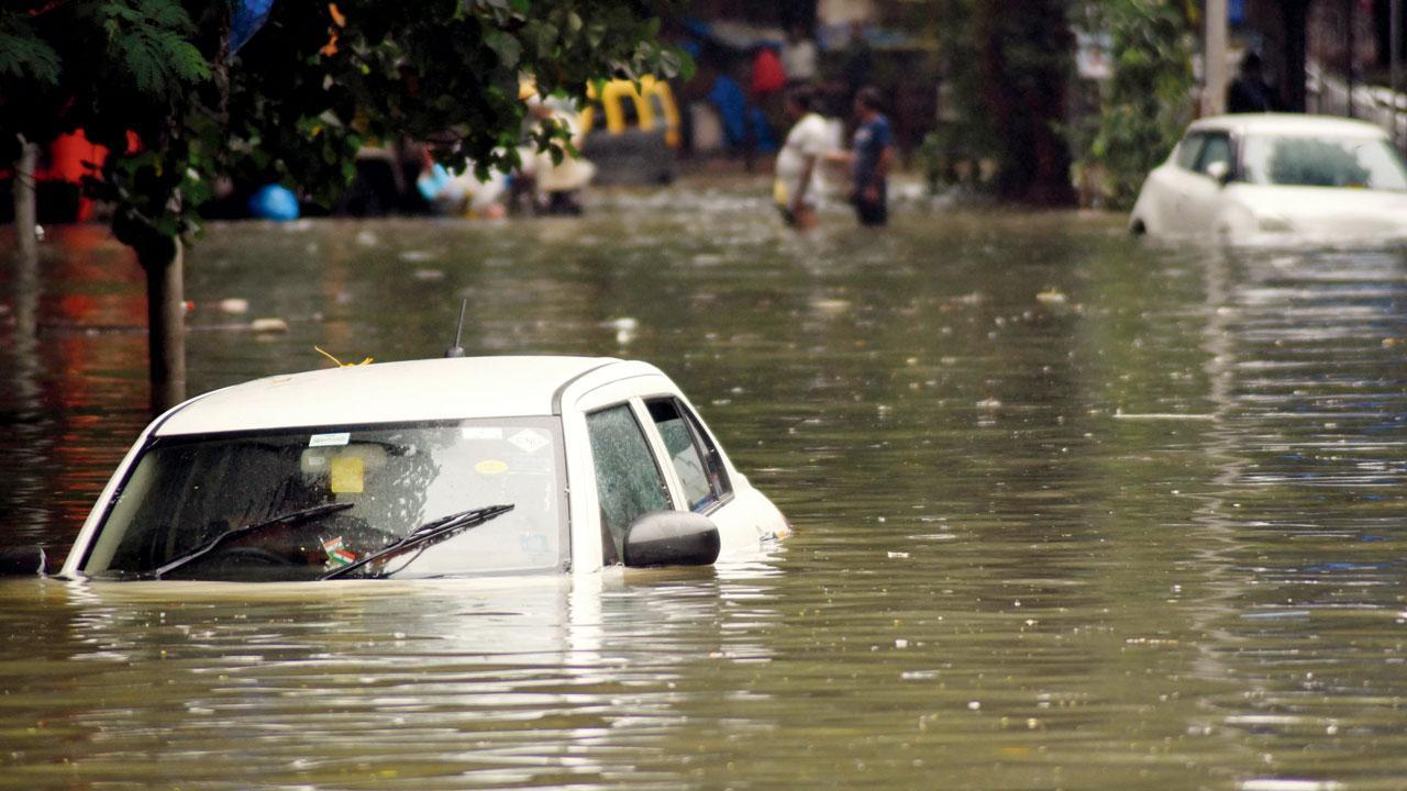 Draft Of Mumbai Climate Action Plan To Be Displayed In COP26 Conference In Glasgow In November