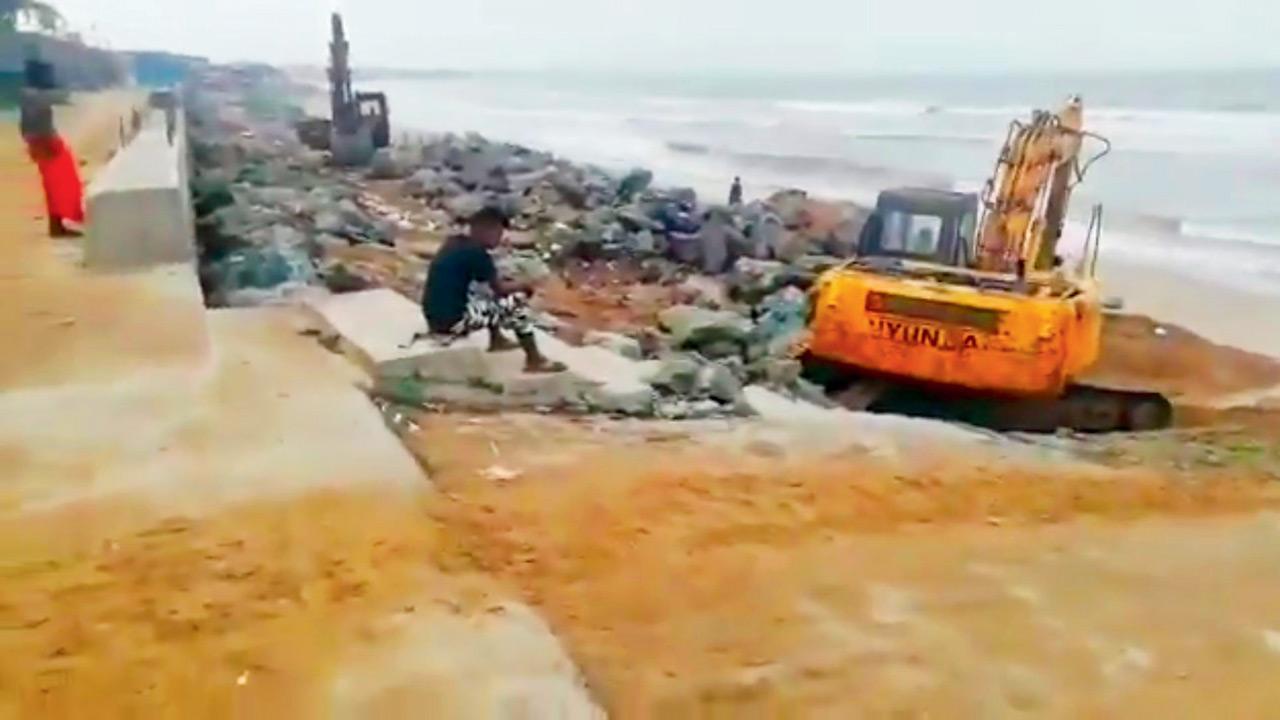 Mumbai: Wall threatening turtle nesting site on Versova beach, says activist