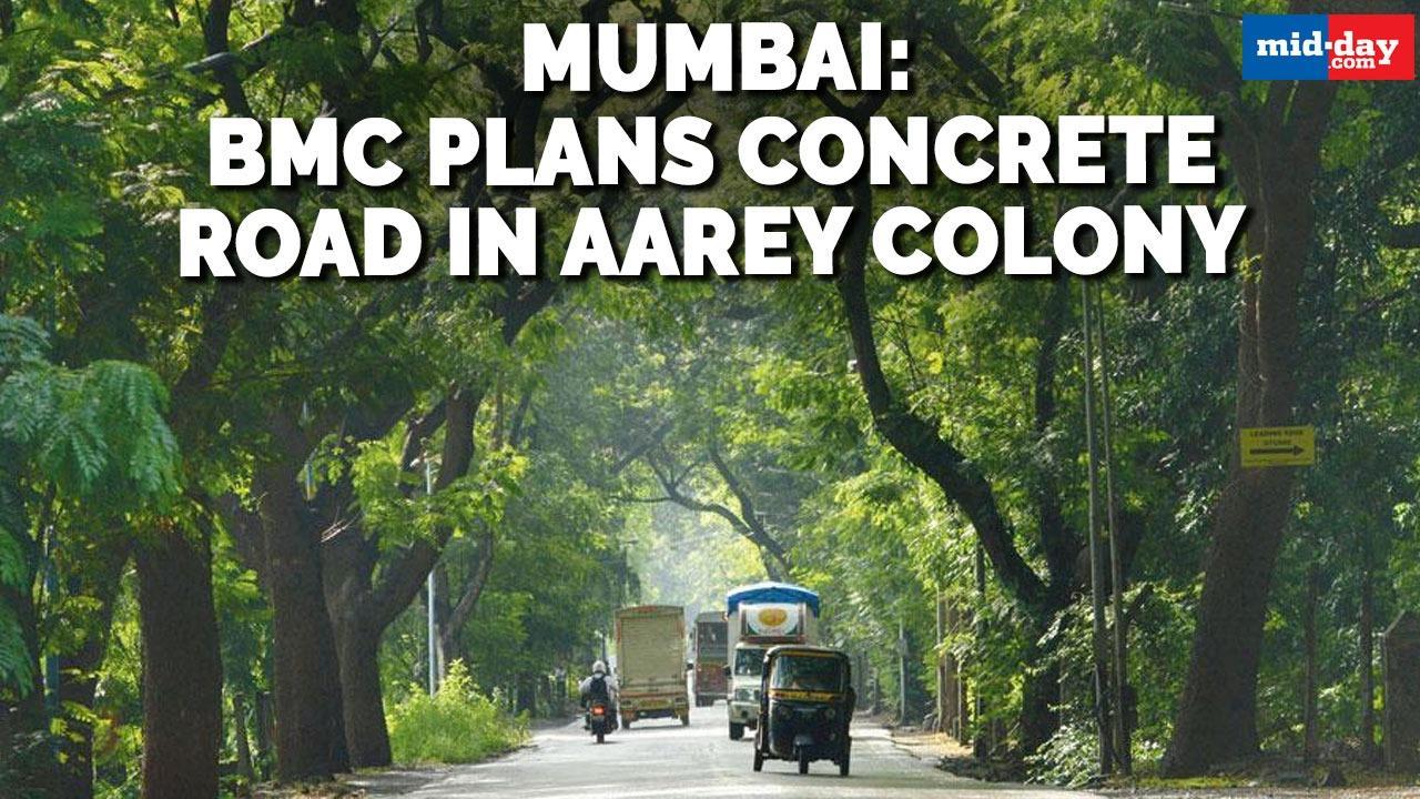 Mumbai: BMC plans concrete road in Aarey Colony
