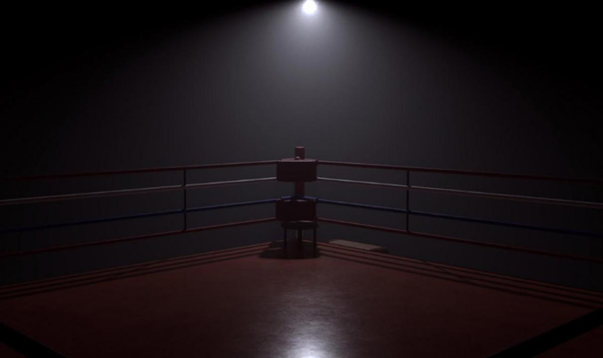 Four Indians enter semi-finals of Asian Youth boxing in Dubai