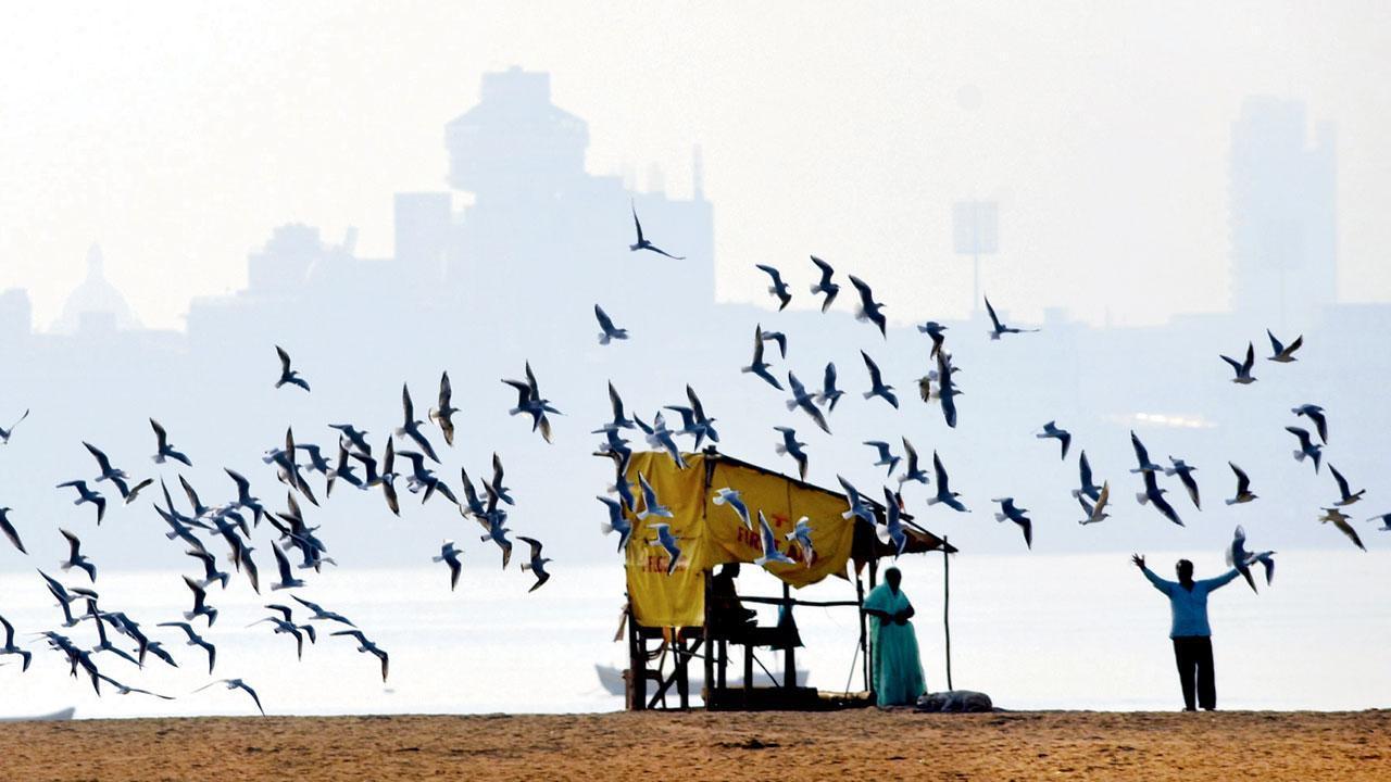 Mumbai Unlock Public Gardens Beaches To Remain Open From 6 Am To 10 Pm Says Bmc