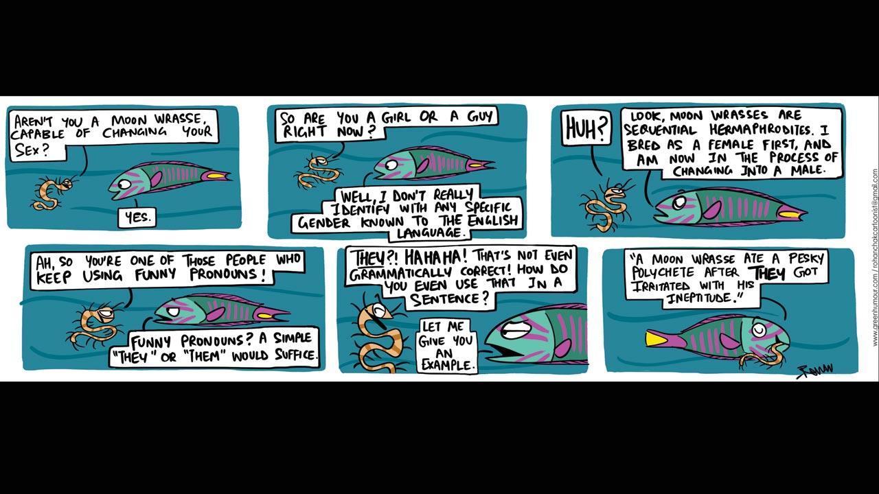Green Humour: Comic Strip By Rohan Chakravarty
