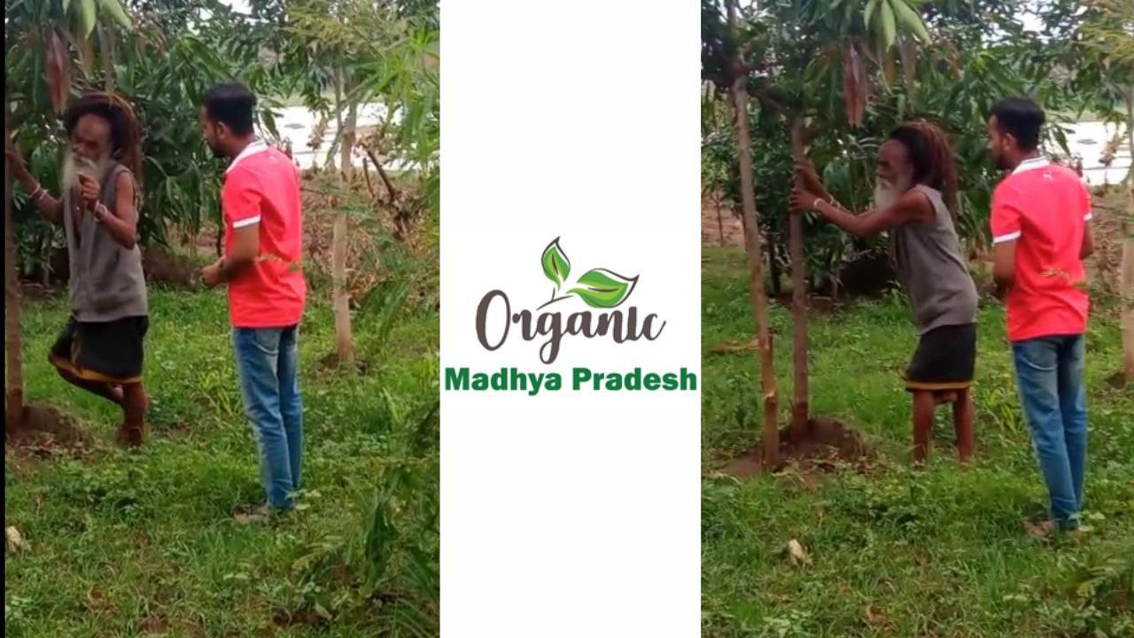 How a 100-year-old Naga Sadhu inspired a young boy to Startup