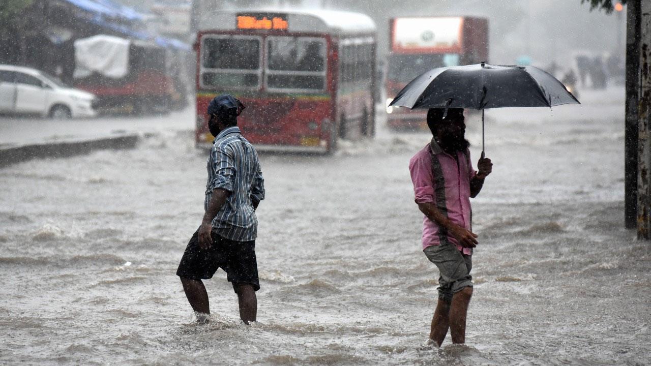 Mumbai rains: Heavy showers lash parts of city, Thane; IMD issues yellow alert 