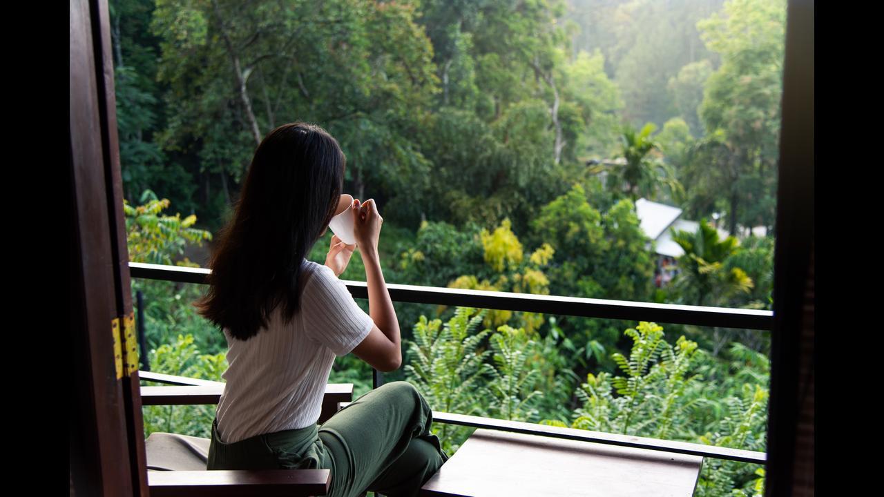 Green neighbourhoods linked with better heart health